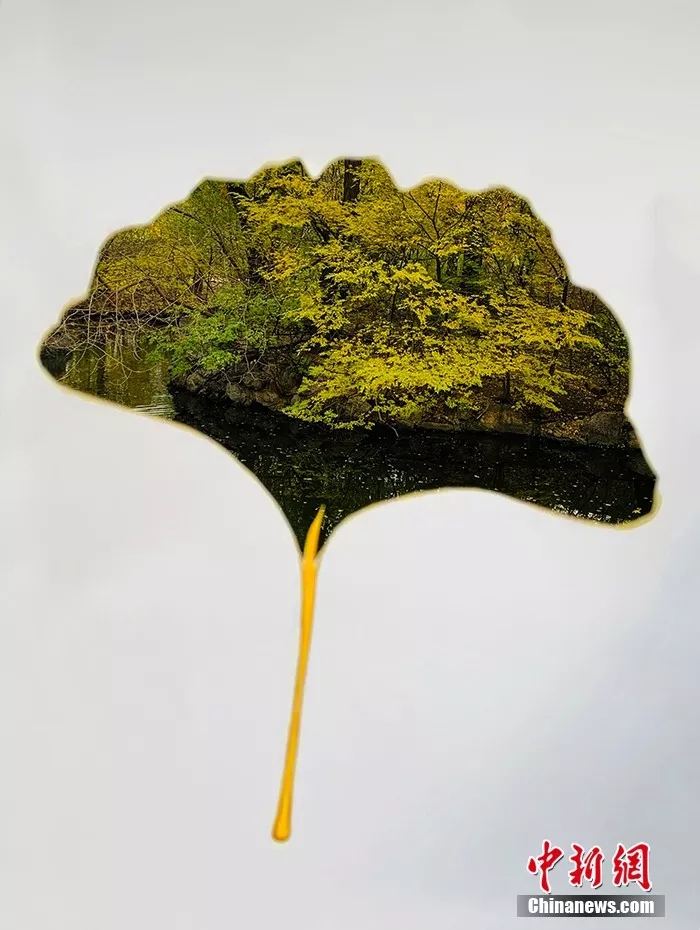 ??? ??????: ??????? ???????? ??????? ???? ???? A4