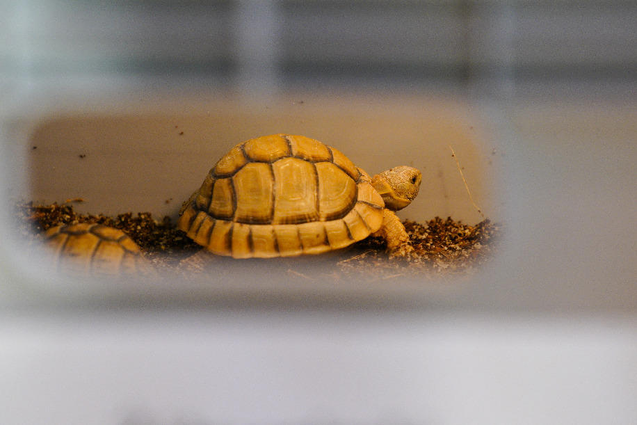 ???? ????????? ??????? ?? ?????