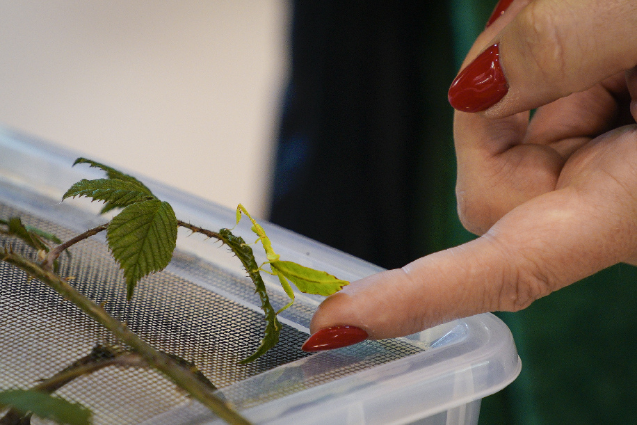 ???? ????????? ??????? ?? ?????