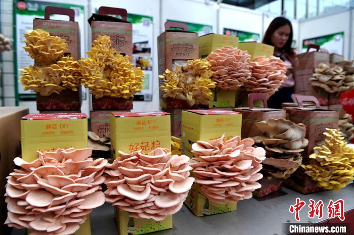 ?????? ????? ??????: ?????? ????? ????????? ???? ??????? ?????