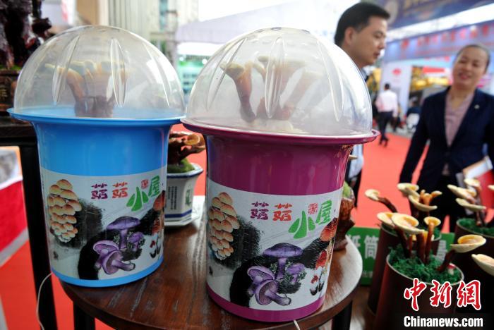 ?????? ????? ??????: ?????? ????? ????????? ???? ??????? ?????