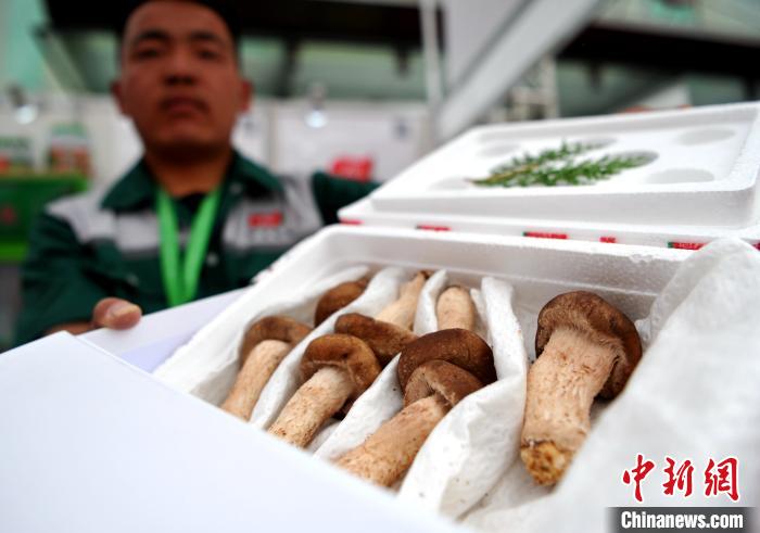 ?????? ????? ??????: ?????? ????? ????????? ???? ??????? ?????