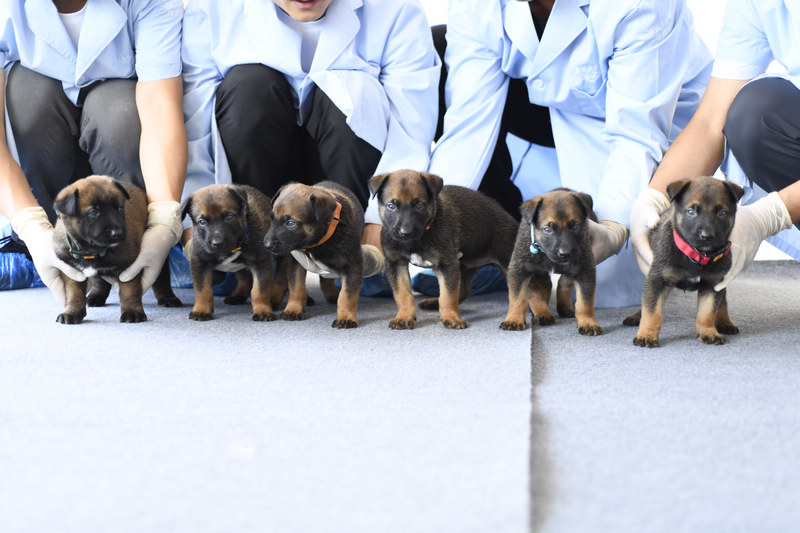 ???? ??? .. ???? ??????? ?? ??? ???? ?????? ????? ?????