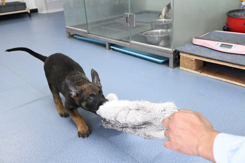 ???? ??? .. ???? ??????? ?? ??? ???? ?????? ????? ?????