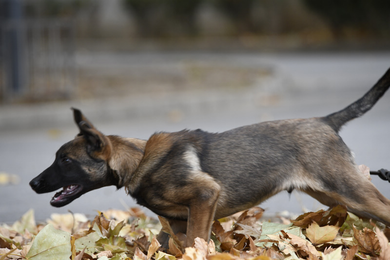 ???? ??? .. ???? ??????? ?? ??? ???? ?????? ????? ?????