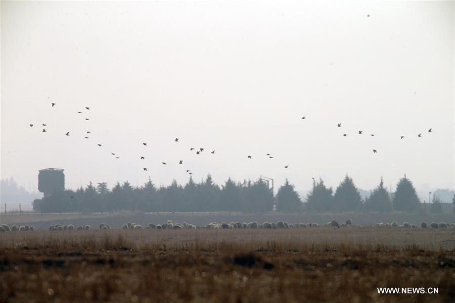 ?????: ????? ????? ????? ??-400 ???????