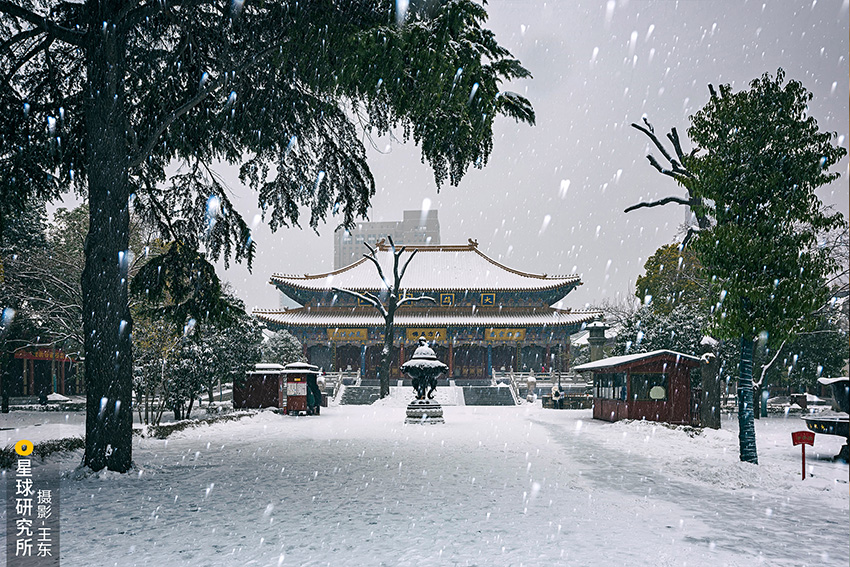 ??? ?? ?????: ????? ??????? ????????