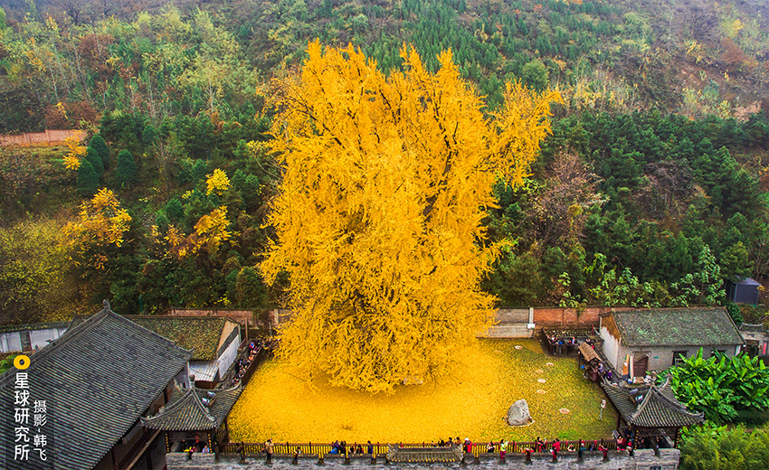 ??? ?? ?????: ????? ??????? ????????