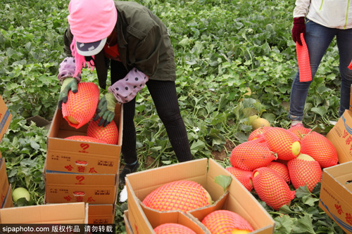 ????? ???????? ???? ??????? ??????? ???????