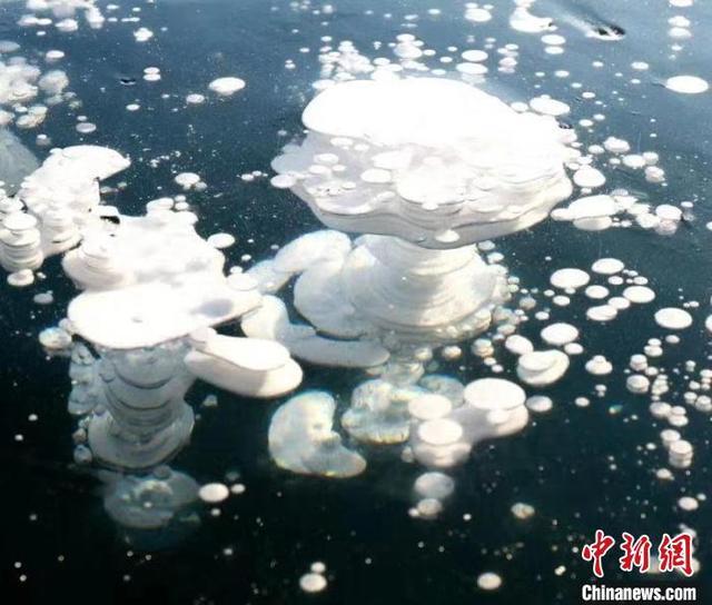 ????? ?????? ?????? ??????? ?? ????? ??????? ?????? ?????