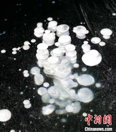 ????? ?????? ?????? ??????? ?? ????? ??????? ?????? ?????