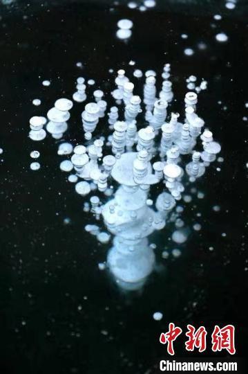 ????? ?????? ?????? ??????? ?? ????? ??????? ?????? ?????