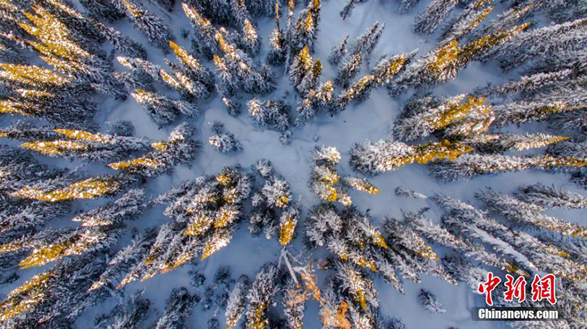 ???? ???? ?? ???????? ????? ?????? ?????? ??? ???? ?????