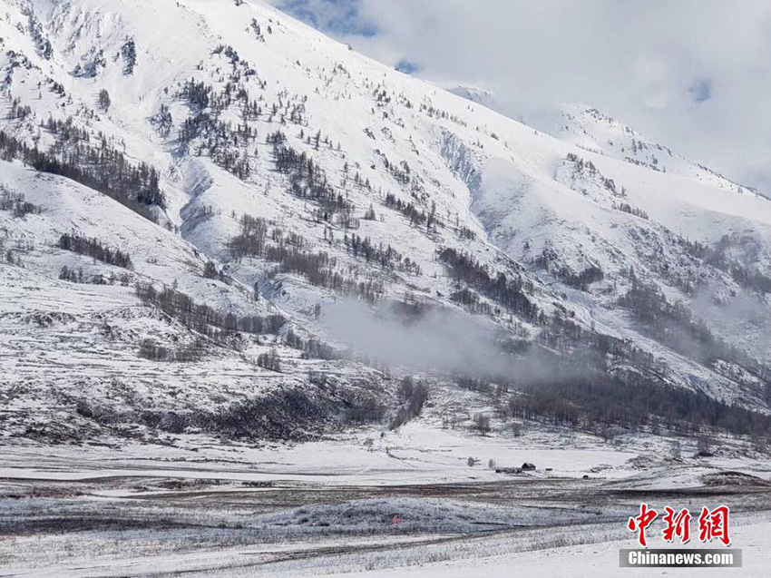 ???? ???? ?? ???????? ????? ?????? ?????? ??? ???? ?????