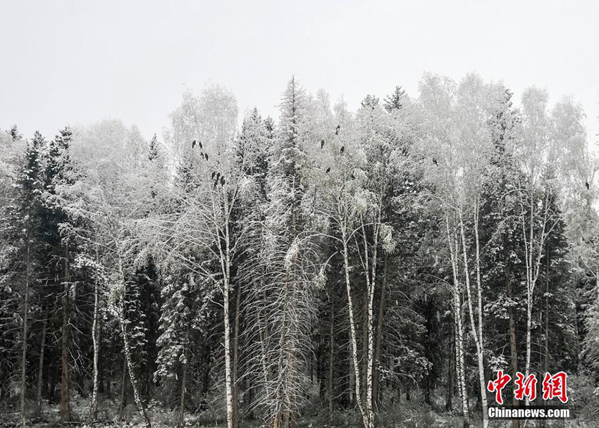 ???? ???? ?? ???????? ????? ?????? ?????? ??? ???? ?????