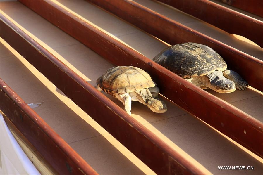 ??????? ???? ???? ????? ????? ??? ???? ???????