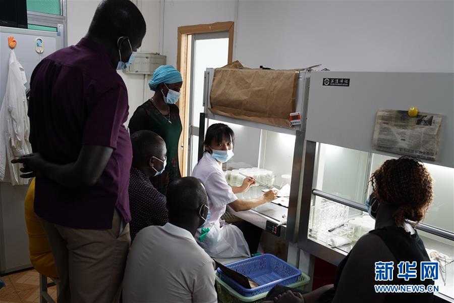 ?????? ???: ?????? ??????? ????? ??????? ???????? ???????? ?? ?????