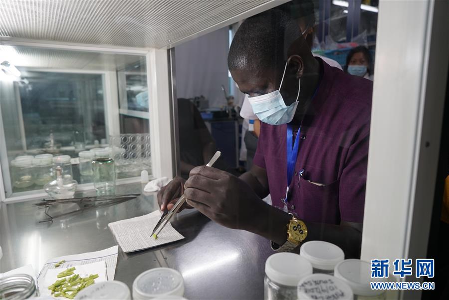 ?????? ???: ?????? ??????? ????? ??????? ???????? ???????? ?? ?????