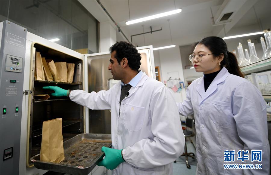 ?????? ???: ?????? ??????? ????? ??????? ???????? ???????? ?? ?????