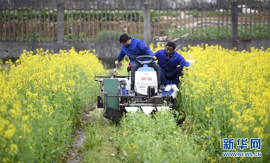 ?????? ???: ?????? ??????? ????? ??????? ???????? ???????? ?? ?????