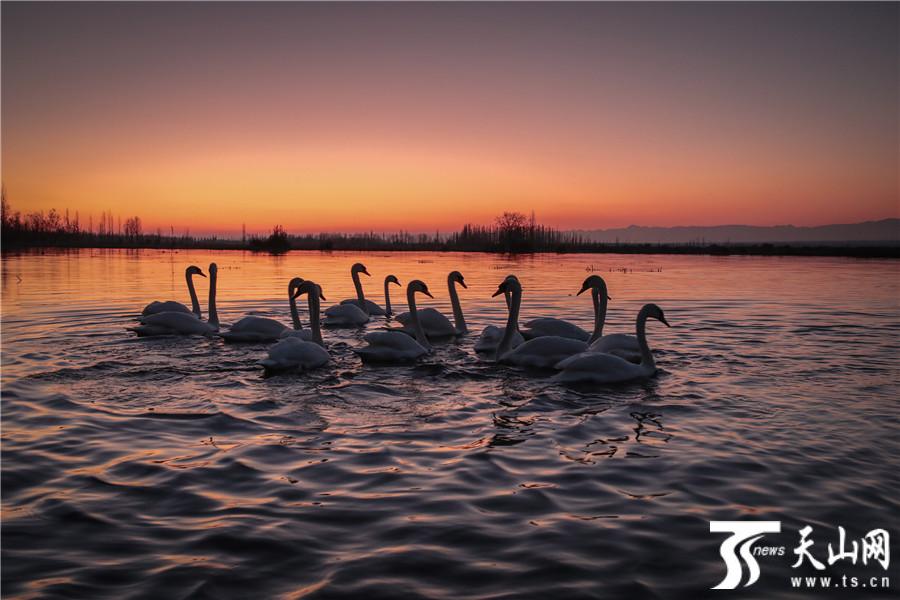 ????? ?????? ????? ???????? ????? ??? ?????? ??? ??? 25 ??? ???????