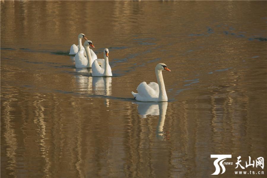 ????? ?????? ????? ???????? ????? ??? ?????? ??? ??? 25 ??? ???????