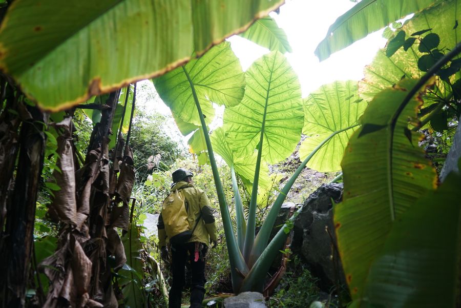 ?????? ????? ???????? ??????? ?? ????? ?????? ?????