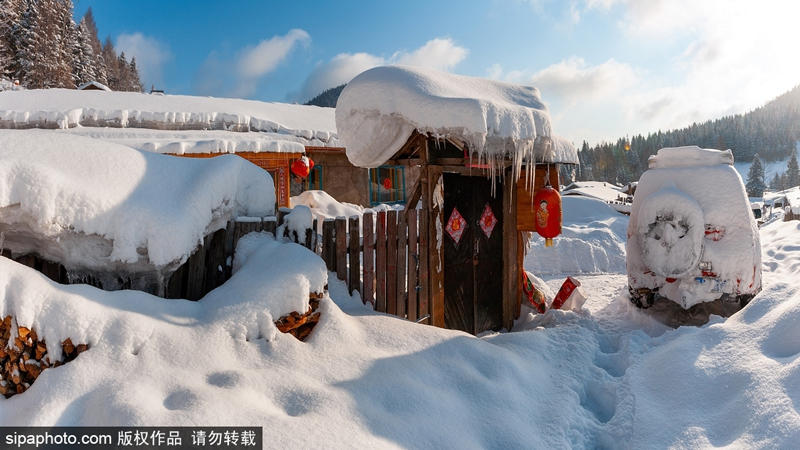 ???? ??? ????? .. ???? ???? ??? ??????