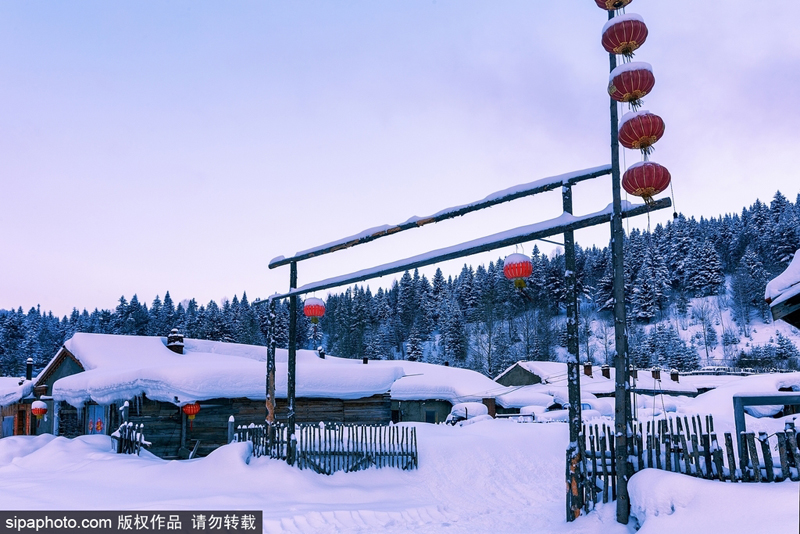 ???? ??? ????? .. ???? ???? ??? ??????