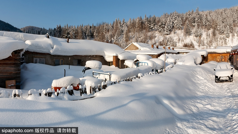 ???? ??? ????? .. ???? ???? ??? ??????