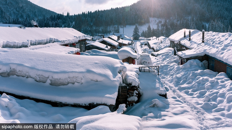 ???? ??? ????? .. ???? ???? ??? ??????