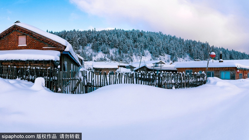 ???? ??? ????? .. ???? ???? ??? ??????