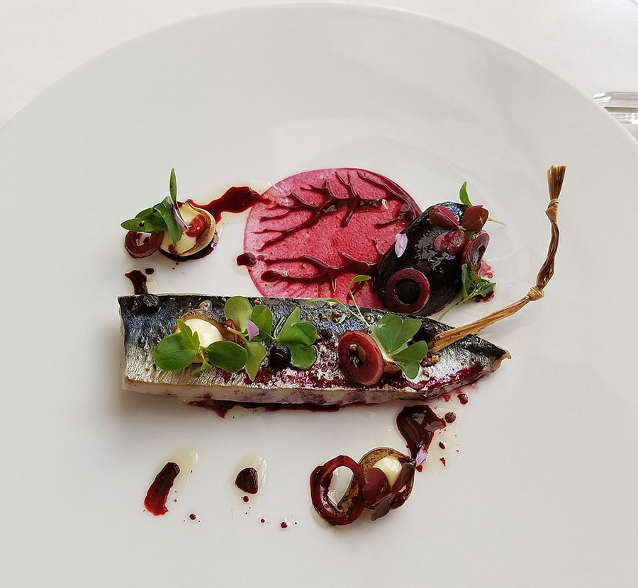 ???? ????? ????? ?????? ?????? ???? 2019