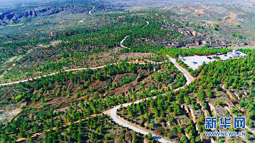 

??212 ????? ????? ?? ???????? ????? ???? ?????? ?????? ?? ????? ?????