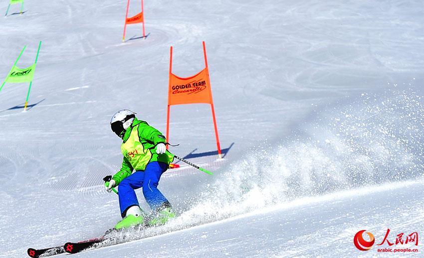 ?????? ??? ???? - ??????? – ??? .. ????? ?????? ??? 34 ??????? ?????? ?????? ?? ??? ?????