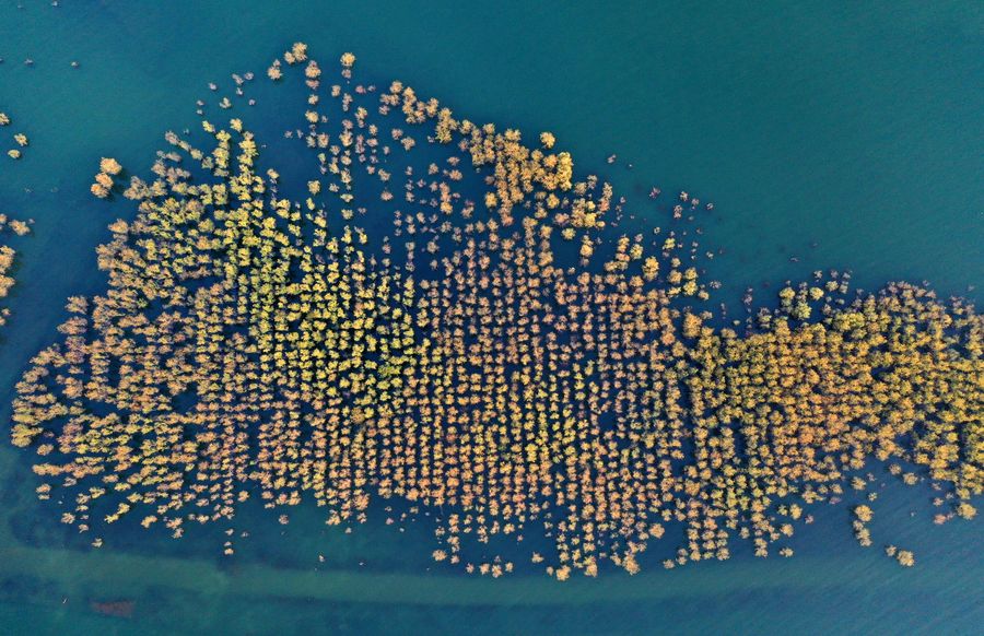 30 ????? ??? ???? ?? 5 ?????... ??? ????? ????? ??? ?????? ?? ?????? ?????? ?? ?????