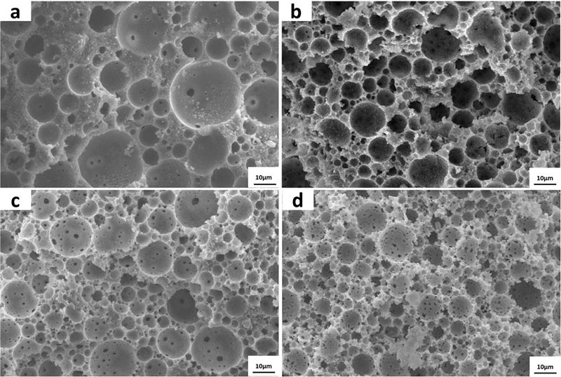 ?????? ?????? ??????? ?????? ?????? ????? ??? ????? ????? ???????