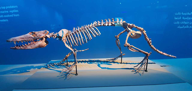 ????? ??????: ??????? ????? ?????? ?????? ??? 48 ?????? ?? 