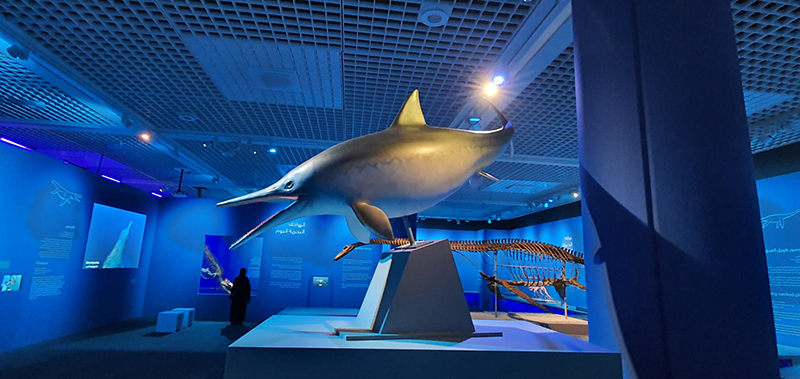 ????? ??????: ??????? ????? ?????? ?????? ??? 48 ?????? ?? 