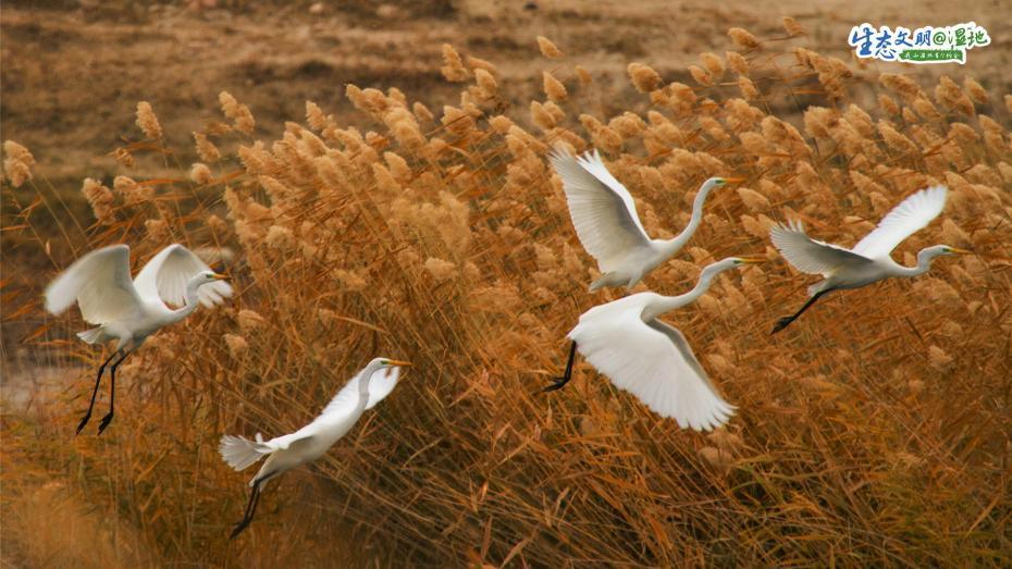 ??????? ???????? ??????? ???????? ?????? ??????