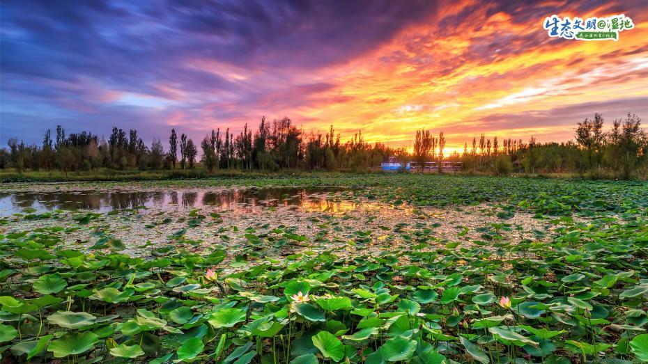 ??????? ???????? ??????? ???????? ?????? ??????