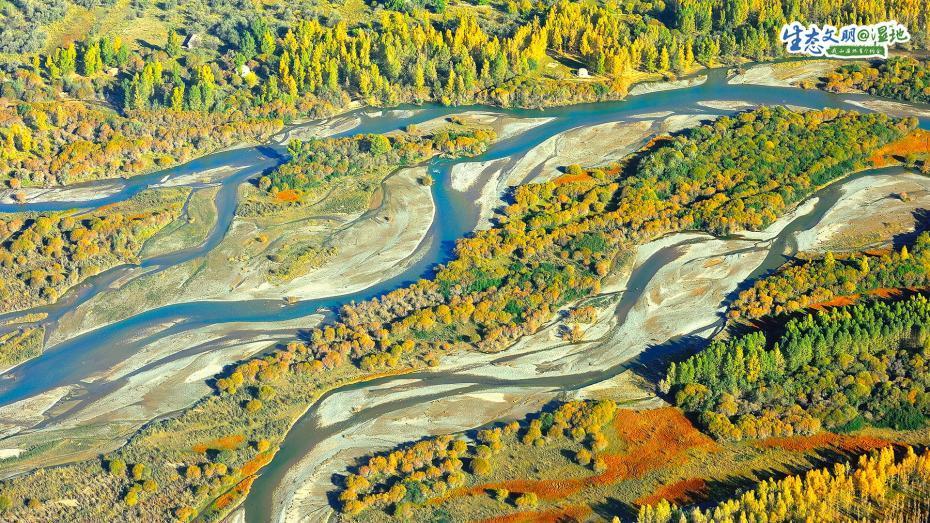 ??????? ???????? ??????? ???????? ?????? ??????