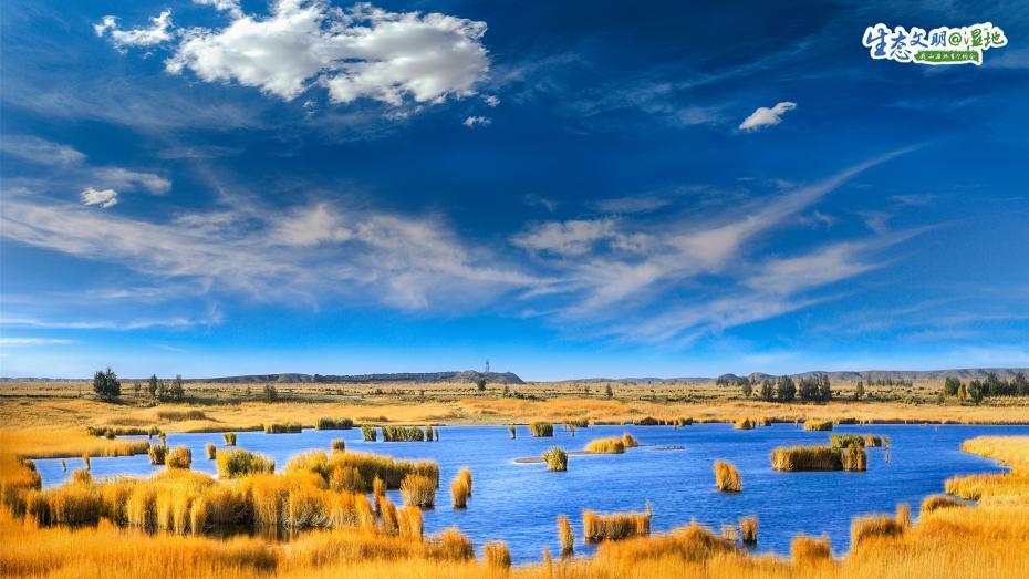 ??????? ???????? ??????? ???????? ?????? ??????