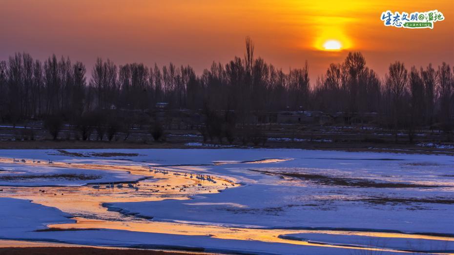 ??????? ???????? ??????? ???????? ?????? ??????