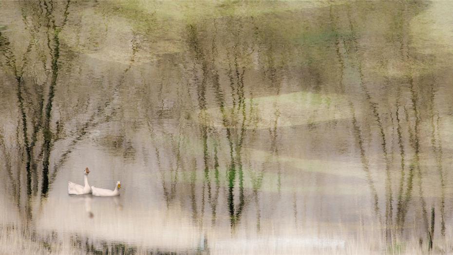 ??????? ???????? ??????? ???????? ?????? ??????