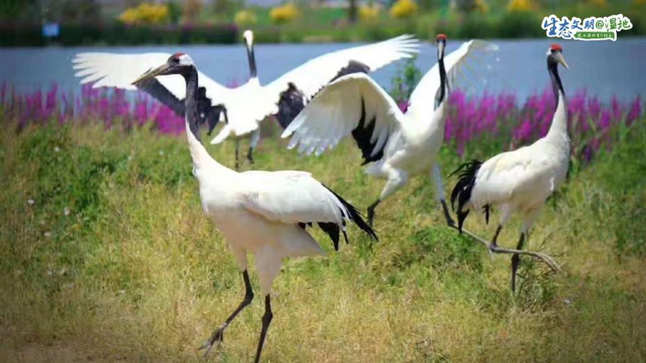 ??????? ???????? ??????? ???????? ?????? ??????