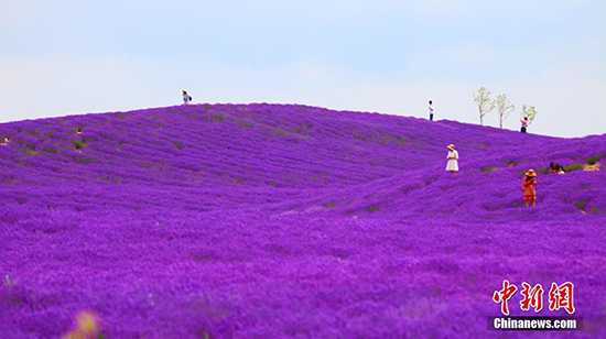 ???? ?? 60 ??? ?? ????? ??????? ???? ???? ????? ?? ????? ????? ??? ?????