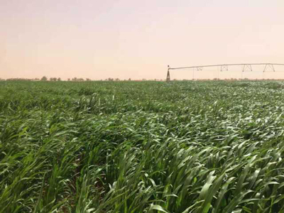 ????????? ???? ?????? ?????? ????? ???? ?? ????? ??? ??????? 