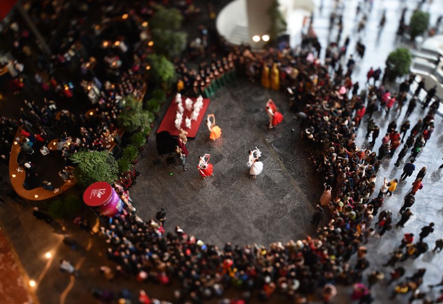 ??? ????? ???????? ??????? ??????? ???12 ?????? ?????? ??????