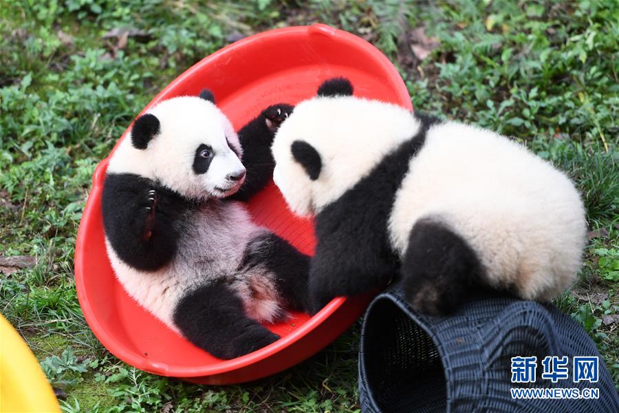 ????? ??????????? ????? ????? 6 ???? ??? ????? 4 ?? ????? ???????